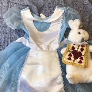 Alice in Wonderland Dress with Rabbit Purse